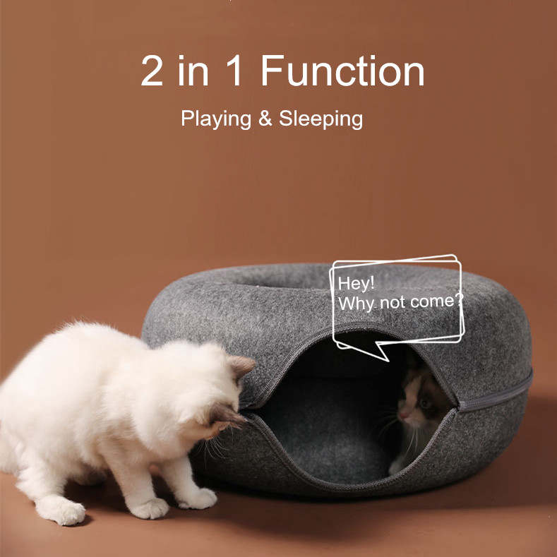 Cat Tunnel Image 2