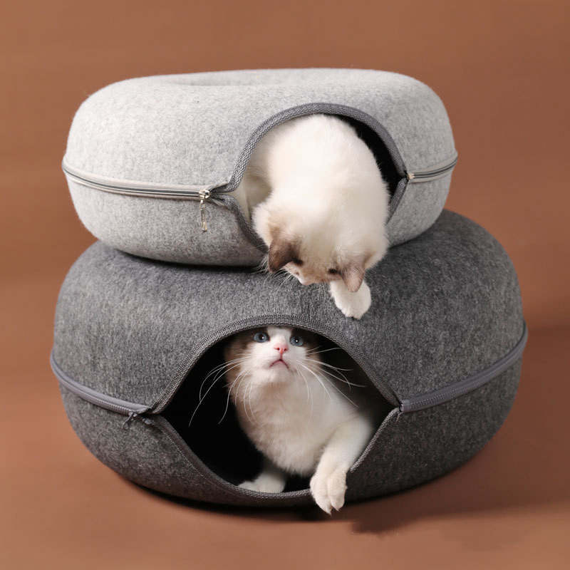 Cat Tunnel Image 7