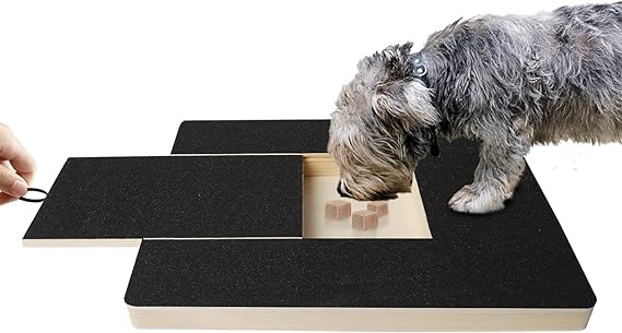 Dog Product